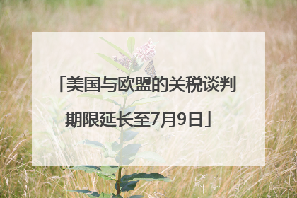 美国与欧盟的关税谈判期限延长至7月9日