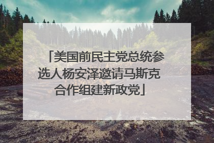 美国前民主党总统参选人杨安泽邀请马斯克合作组建新政党