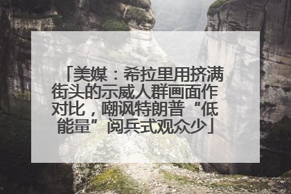 美媒：希拉里用挤满街头的示威人群画面作对比，嘲讽特朗普“低能量”阅兵式观众少