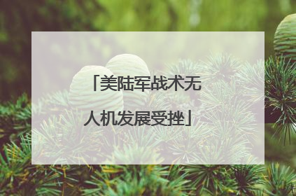 美陆军战术无人机发展受挫