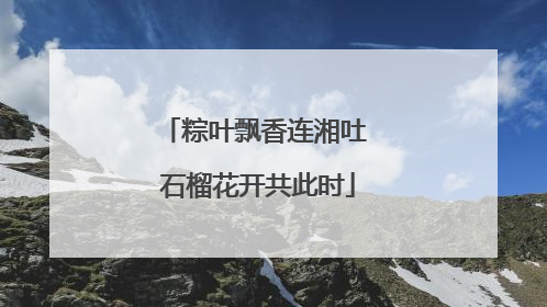 粽叶飘香连湘吐 石榴花开共此时