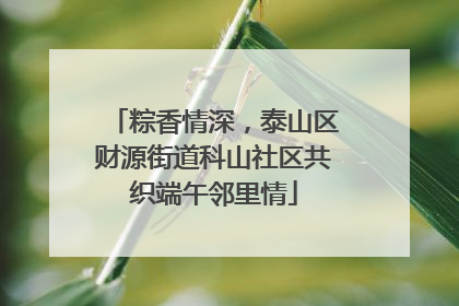 粽香情深，泰山区财源街道科山社区共织端午邻里情