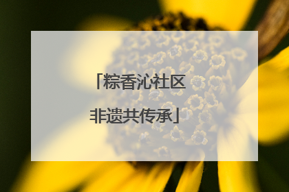 粽香沁社区 非遗共传承