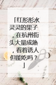 红彤彤水灵灵的果子，在杭州街头大量成熟，看着诱人但能吃吗？