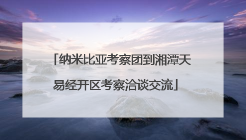 纳米比亚考察团到湘潭天易经开区考察洽谈交流