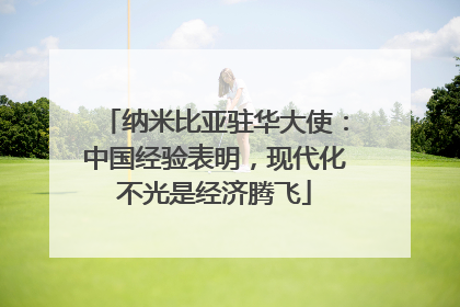 纳米比亚驻华大使：中国经验表明，现代化不光是经济腾飞
