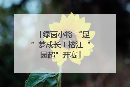 绿茵小将 “足”梦成长！榕江“园超”开赛