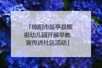 绵阳市盐亭县嫘祖幼儿园开展早教宣传进社区活动