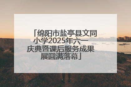 绵阳市盐亭县文同小学2025年六一庆典暨课后服务成果展圆满落幕