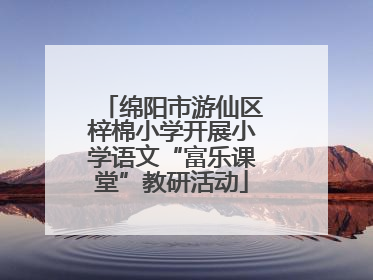 绵阳市游仙区梓棉小学开展小学语文“富乐课堂”教研活动