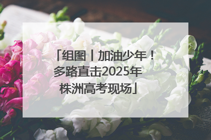 组图丨加油少年！多路直击2025年株洲高考现场
