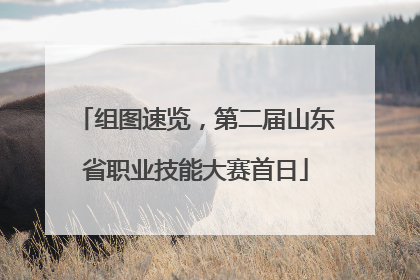 组图速览，第二届山东省职业技能大赛首日