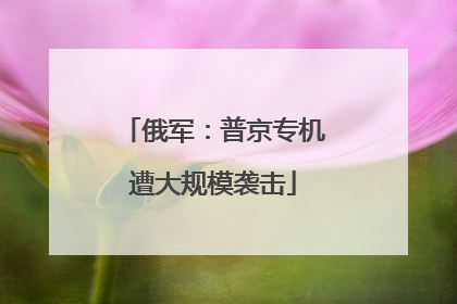 俄军：普京专机遭大规模袭击