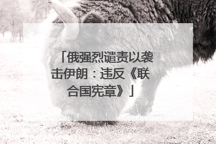 俄强烈谴责以袭击伊朗：违反《联合国宪章》