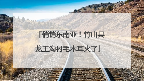 俏销东南亚！竹山县龙王沟村毛木耳火了