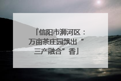 信阳市浉河区：万亩茶庄园飘出“三产融合”香