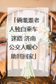 俩耄耋老人独自乘车迷路 济南公交人暖心助其回家