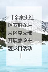 余家头社区安胜花园片区党支部开展廉政主题党日活动