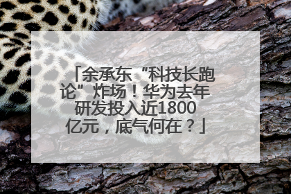 余承东“科技长跑论”炸场！华为去年研发投入近1800亿元，底气何在？