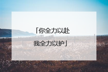你全力以赴 我全力以护
