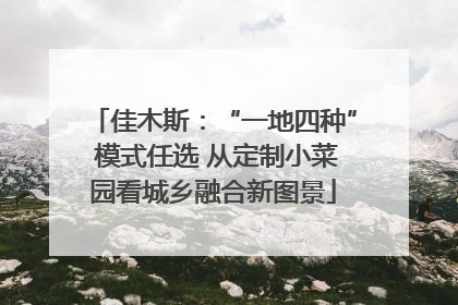 佳木斯：“一地四种” 模式任选 从定制小菜园看城乡融合新图景