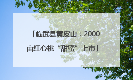 临武县黄皮山：2000亩红心桃“甜蜜”上市