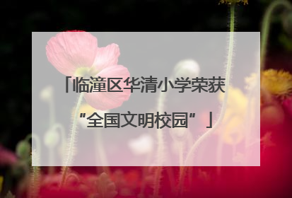 临潼区华清小学荣获“全国文明校园”