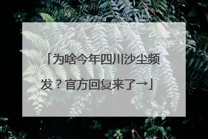 为啥今年四川沙尘频发？官方回复来了→