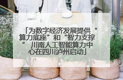 为数字经济发展提供“算力底座”和“智力支撑” 川南人工智能算力中心在四川泸州启动