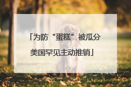 为防“蛋糕”被瓜分 美国罕见主动推销
