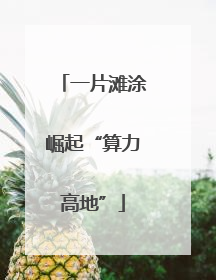 一片滩涂崛起“算力高地”