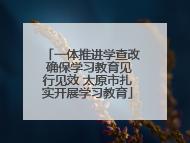 一体推进学查改 确保学习教育见行见效 太原市扎实开展学习教育