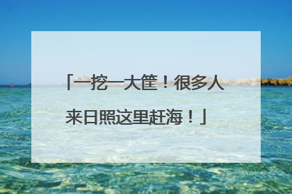 一挖一大筐！很多人来日照这里赶海！
