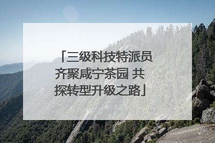 三级科技特派员齐聚咸宁茶园 共探转型升级之路