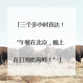 三个多小时直达！“午餐在北京，晚上在日照吃海鲜！”
