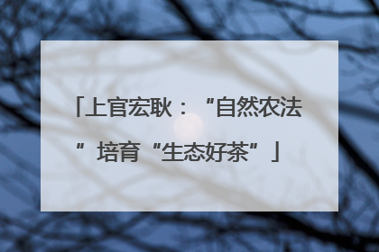 上官宏耿：“自然农法”培育“生态好茶”