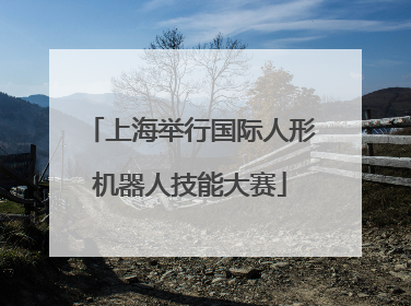 上海举行国际人形机器人技能大赛