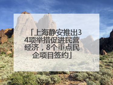 上海静安推出34项举措促进民营经济，8个重点民企项目签约