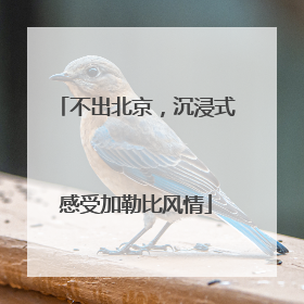 不出北京，沉浸式感受加勒比风情