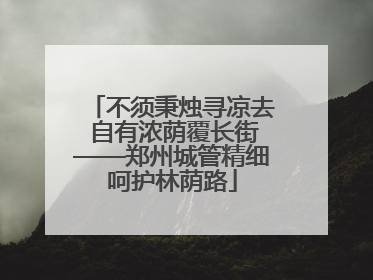 不须秉烛寻凉去 自有浓荫覆长街——郑州城管精细呵护林荫路