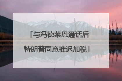 与冯德莱恩通话后 特朗普同意推迟加税