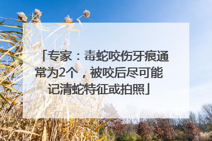 专家：毒蛇咬伤牙痕通常为2个，被咬后尽可能记清蛇特征或拍照