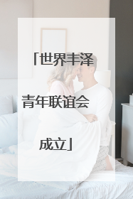 世界丰泽青年联谊会成立