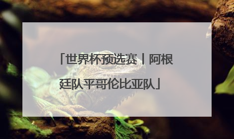 世界杯预选赛丨阿根廷队平哥伦比亚队