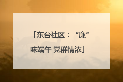 东台社区：“廉”味端午 党群情浓