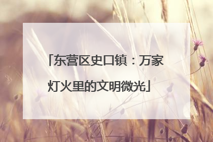 东营区史口镇：万家灯火里的文明微光