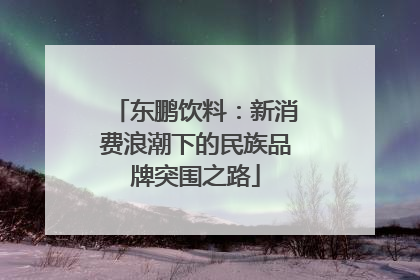 东鹏饮料：新消费浪潮下的民族品牌突围之路