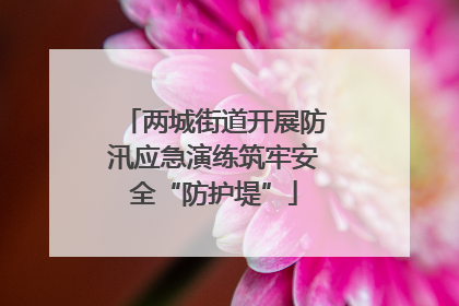 两城街道开展防汛应急演练筑牢安全“防护堤”
