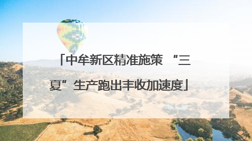 中牟新区精准施策 “三夏”生产跑出丰收加速度