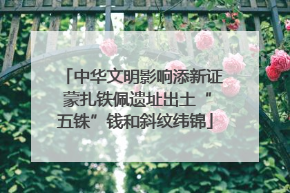 中华文明影响添新证 蒙扎铁佩遗址出土“五铢”钱和斜纹纬锦